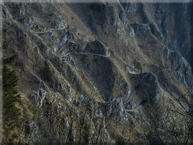 foto Salita dal Monte Tomba a Cima Grappa